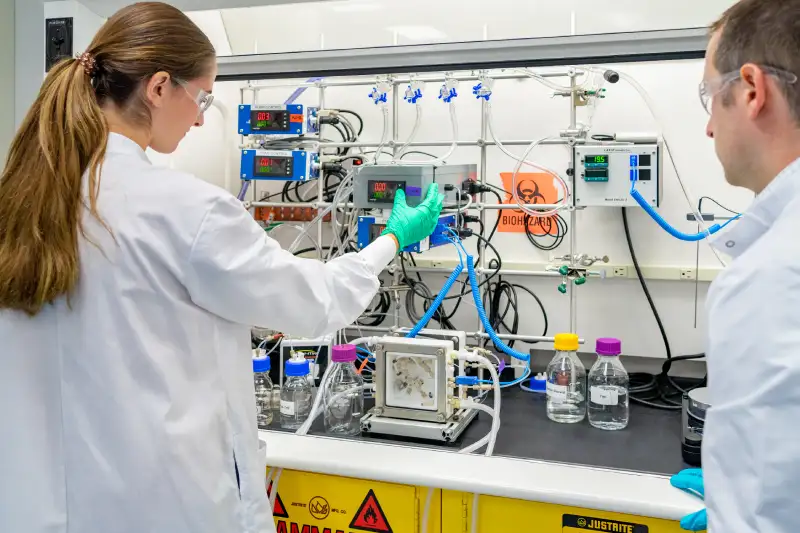 Cambrex Waltham (Snapdragon Chemistry)